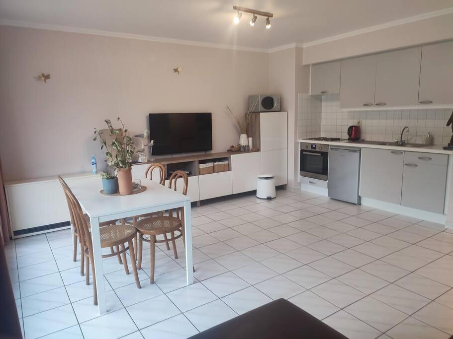 4-Persoons Appartement Met Een Mooi Uitzicht De Panne Εξωτερικό φωτογραφία